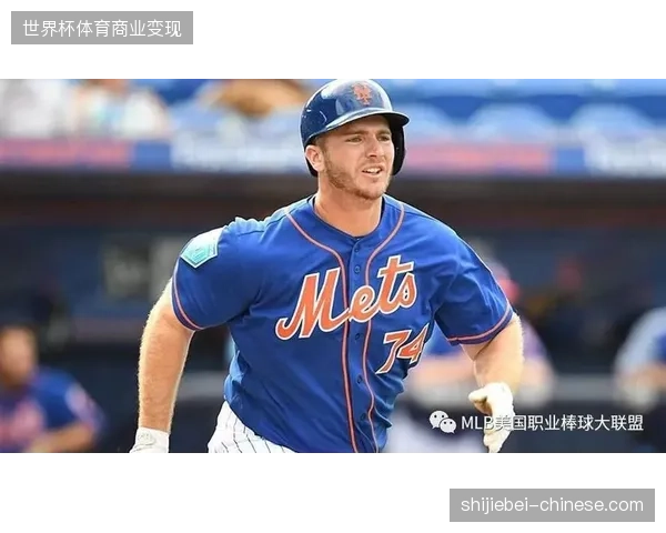 纽约大都会体育场高端包厢运营项目如何通过多维度权益捆绑实现季度盈利超标